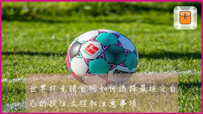 世界杯竞猜官网如何选择最适合自己的投注流程和注意事项