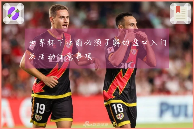 世界杯下注前必须了解的盘口入门及活动注意事项