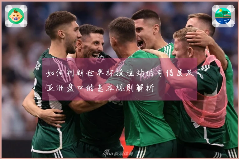如何判断世界杯投注站的可信度及亚洲盘口的基本规则解析