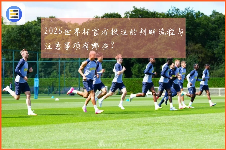 2026世界杯官方投注的判断流程与注意事项有哪些？
