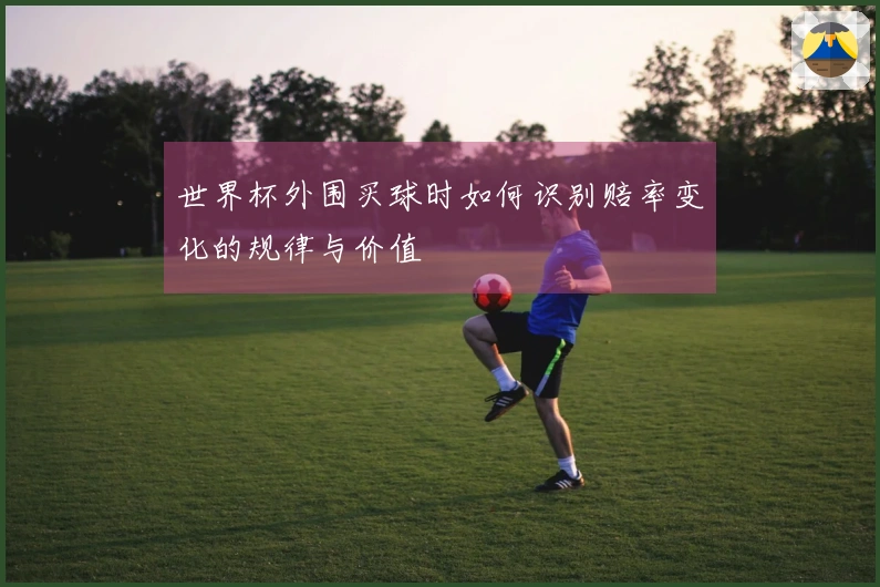 世界杯外围买球时如何识别赔率变化的规律与价值