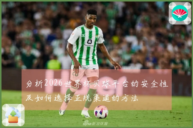 分析2026世界杯买球平台的安全性及如何选择正规渠道的方法